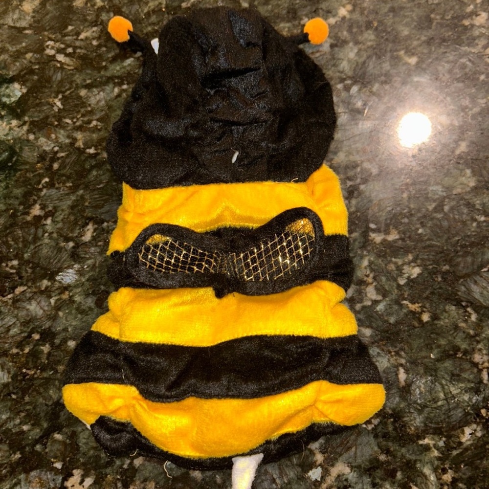 NWOT …pet halloween , bumblebee costume for small dogs , size small